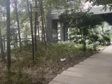 长帆江岸公馆 1室1厅 东北