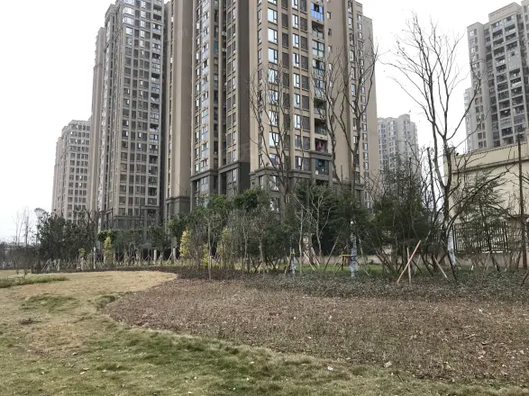 名流印象一期实景图