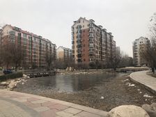 南北通透精装修拎包入住电梯入户顶跃