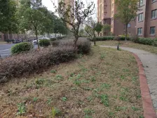 2016年品质电梯动迁房 低总价 高楼层