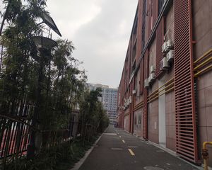 好楼层,房东诚心出售,保养的很好,适合过渡的情侣