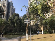 汽博中心 奥林匹克花园七期(紫枫郡)三房