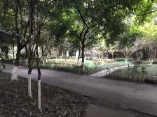 环线体育公园旁三室两厅两卫 临轻轨临公园