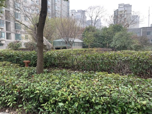 金湖湾实景图