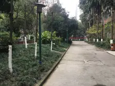 南桥静月 1室1厅 南