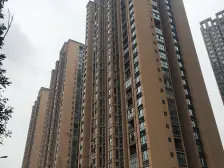 照母山三房 总价低 东南朝向 视野好看来福士