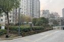 金湖湾实景图