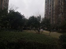 房屋诚心出售,环境好,上学方便,购物方便