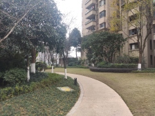 安静,朝中庭,业主诚心卖,楼层适中。