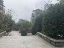 背靠公园 洋房社区 住家精装修