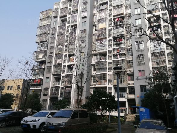 汇嘉新园实景图