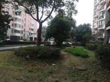 新出花园位置,三开间朝南,户型通透