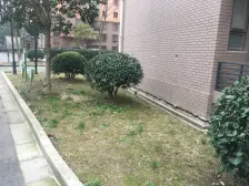 楼层佳 视野好 装修环保 配套齐全