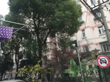 一梯两户+南北全明+视野采光佳+大柏树地地铁+龙之梦近