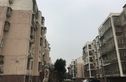 金桥石油苑实景图