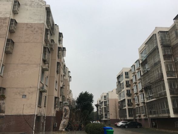 金桥石油苑实景图