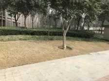 新里卢浮公馆 2室2厅 西