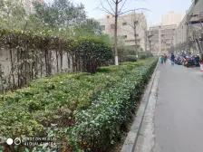 双气 近地铁 朝西 采光好