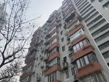 ?????梅陇镇 精装 低总价电梯住宅 地铁三轨交汇