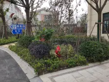 近地铁 电梯房 新上房源