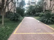 金科阳光小镇三期 4室1厅 西 东