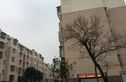 金桥石油苑实景图