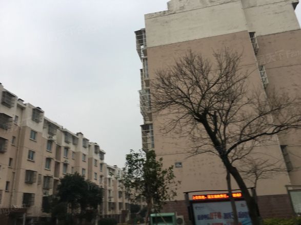 金桥石油苑实景图