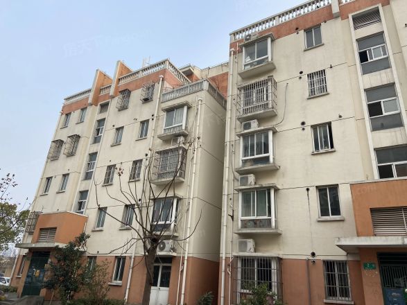 马桥东街实景图
