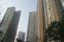海伦春天实景图