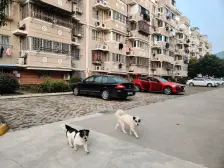 枫桥·新毛家花园(北区)·6室·2厅