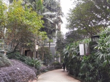 劳动路 学林雅园三房203万