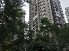 俊峰龙凤云洲 2室1厅 南