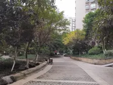 精装修正规三房两卫,朝中庭,带*,交通便利。