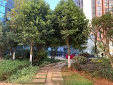德润朗悦湾1室1厅东
