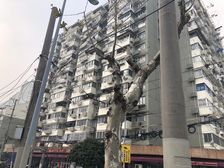 北外滩电梯一室户,北外滩核芯区域,楼层位置好