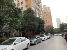 三环内精装5房 小区绿化好 四季常青