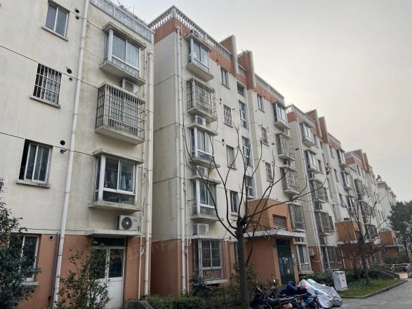 马桥东街实景图