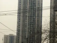 丽都锦城 1室1厅 东