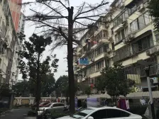 江湾·新北小区·1室·1厅