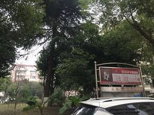 江湾 · 福赐花苑 · 2室 · 1厅