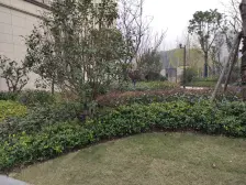 次新小区 地暖全屋空调 双卧室朝南 房型正气