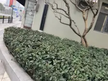 北外滩电梯一室户,北外滩核芯区域,楼层位置好