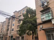 放大招减税,降利率,再观望便真是认知出问题