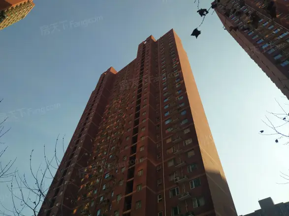 天滋嘉鲤商住楼实景图