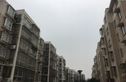 金桥石油苑实景图