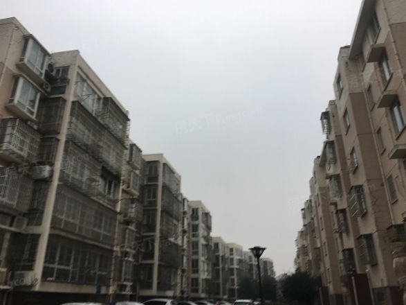 金桥石油苑实景图