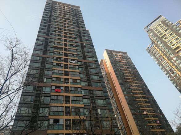 海伦春天实景图