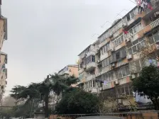 全明户型,旁边就是公园,视野宽阔,采光充足.