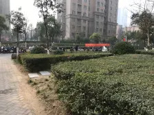 毛坯房,随时可以看房,不临高架,前后采光无影响