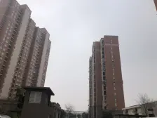 金丰苑一居 1室1厅 南